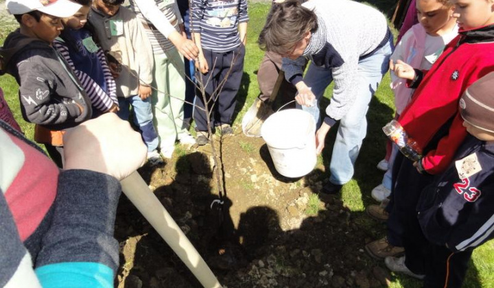 10. fotografia fotogalérie Deň Zeme