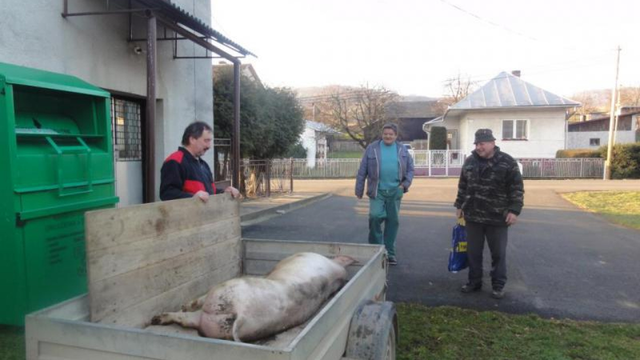 Fotografia fotogalérie Zabíjačka Silvester 2013