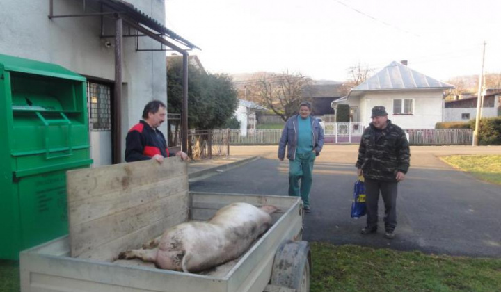 1. fotografia fotogalérie Zabíjačka Silvester 2013