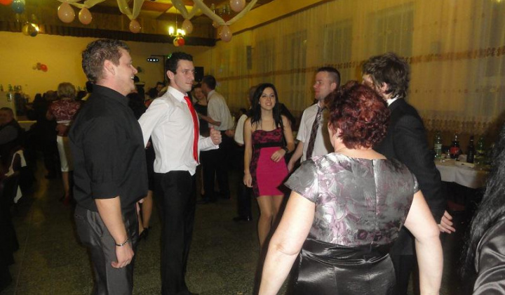 1. fotografia fotogalérie Ples 2014