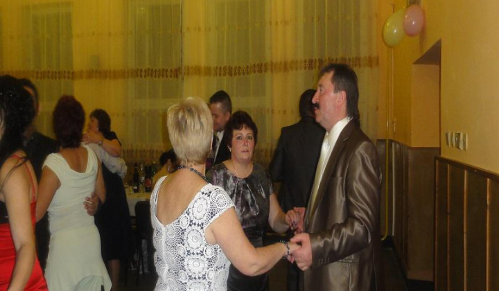 8. fotografia fotogalérie Ples 2014