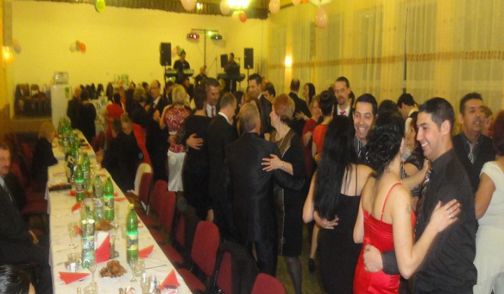 9. fotografia fotogalérie Ples 2014