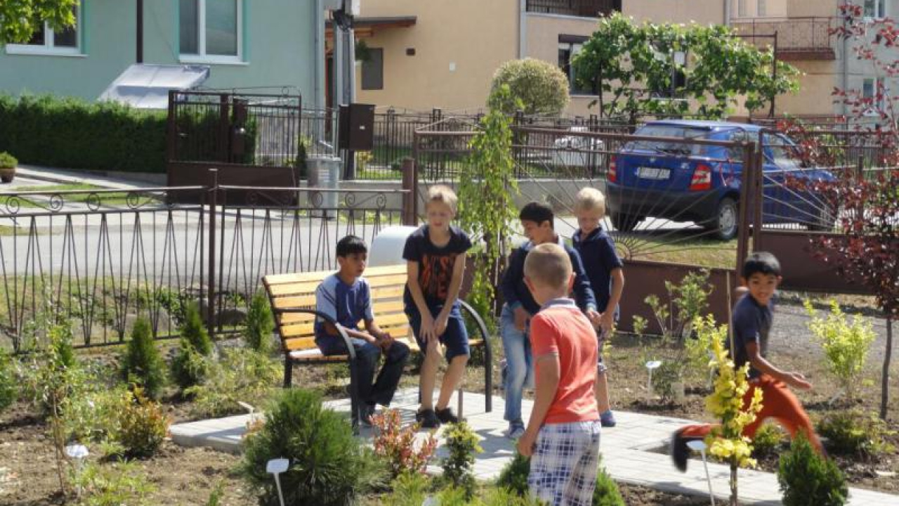 Fotografia fotogalérie Školské arborétum