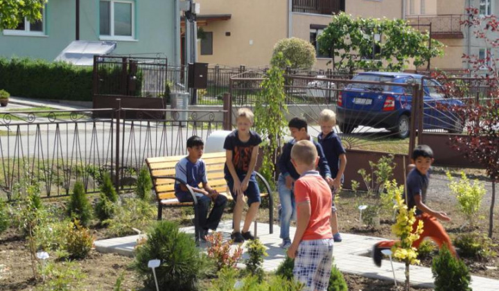 1. fotografia fotogalérie Školské arborétum