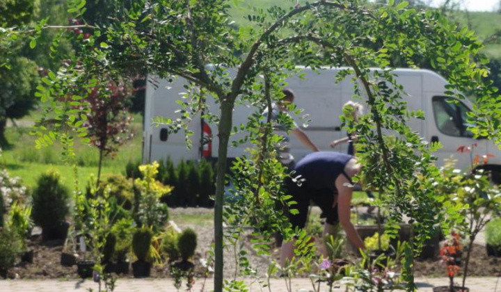 6. fotografia fotogalérie Školské arborétum