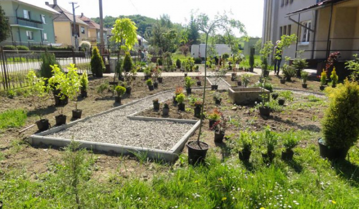 7. fotografia fotogalérie Školské arborétum