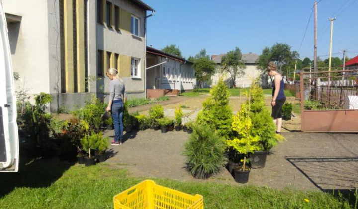 9. fotografia fotogalérie Školské arborétum