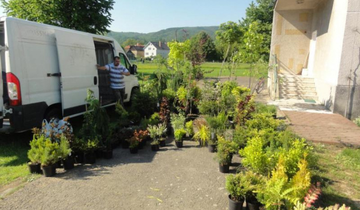 10. fotografia fotogalérie Školské arborétum