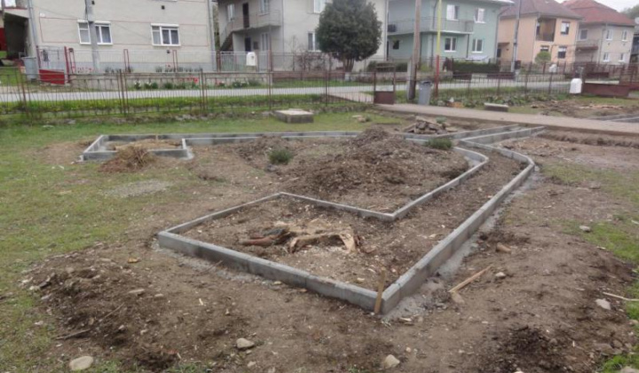 12. fotografia fotogalérie Školské arborétum