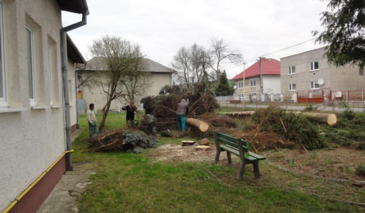 13. fotografia fotogalérie Školské arborétum