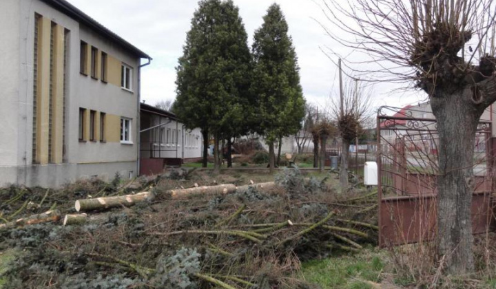 14. fotografia fotogalérie Školské arborétum