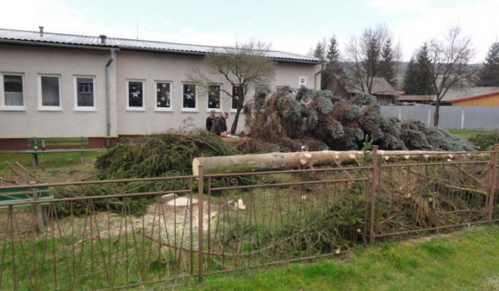 15. fotografia fotogalérie Školské arborétum