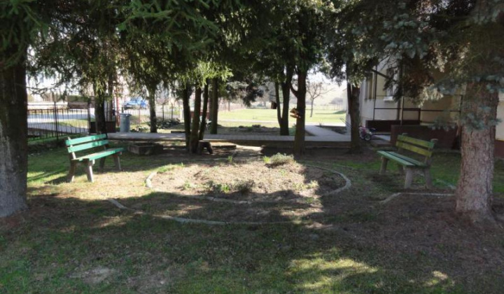 16. fotografia fotogalérie Školské arborétum