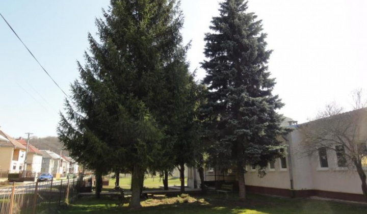 17. fotografia fotogalérie Školské arborétum