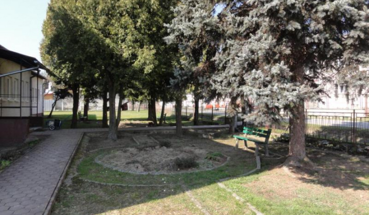 19. fotografia fotogalérie Školské arborétum