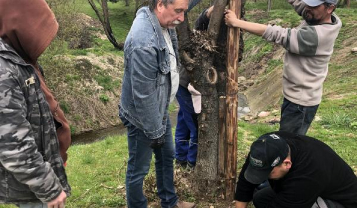 4. fotografia fotogalérie Stavanie mája 2021