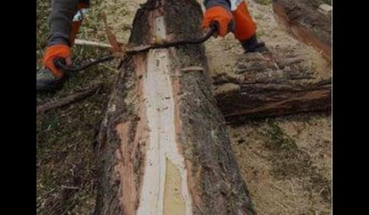 1. fotografia fotogalérie Jarná brigáda 2023