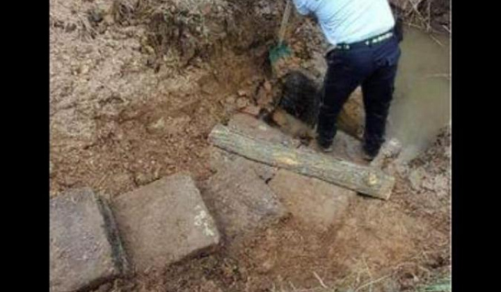 5. fotografia fotogalérie Jarná brigáda 2023