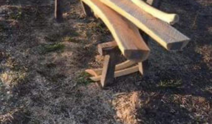 9. fotografia fotogalérie Jarná brigáda 2023